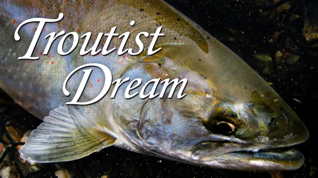 Troutist Dream アラスカ・コディアック島のシルバーサーモン