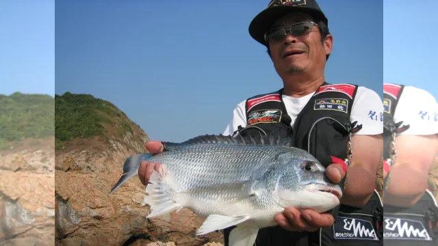 伝心伝承 24 香港の磯釣り