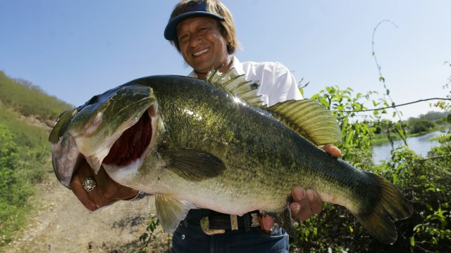 魚種格闘技戦！