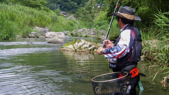 伝心伝承 79  高知県四万十川水系北川～水浅葱に染まる銀鮎の群れ～