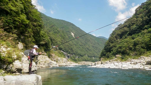 伝心伝承 80　徳島県吉野川～大歩危峡の巨鮎攻略～