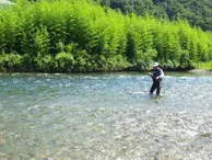 伝心伝承 103　島根県匹見川～自然に溢れる夏の香り～