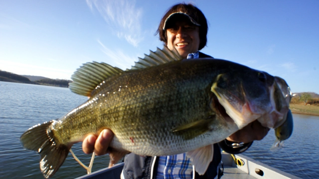 魚種格闘技戦！