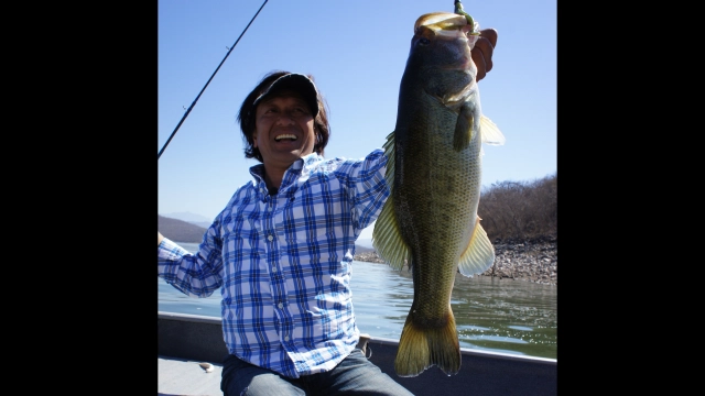 魚種格闘技戦！