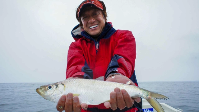 魚種格闘技戦！ BATTLE-150 火の国熊本有明海に未確認魚を追う！