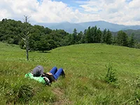 森のチカラ 第十回 都会を流れる多摩川の秘密