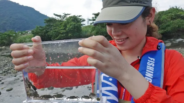 森のチカラ 第十一回　熊野灘に注ぐ恵みの水