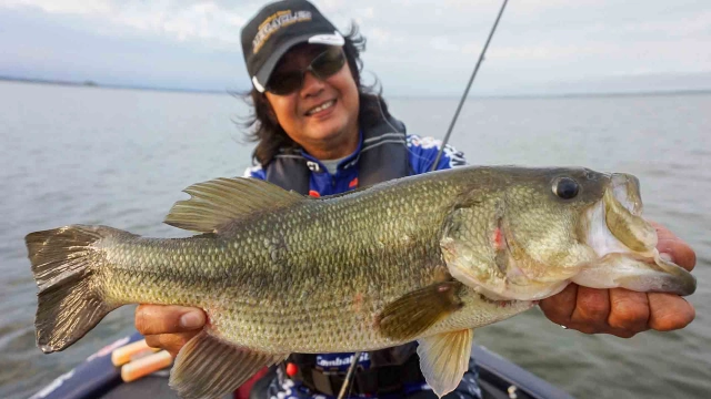 BIG BITE story-131 秋の霞ヶ浦水系 激変するトーナメントフィールドに挑む