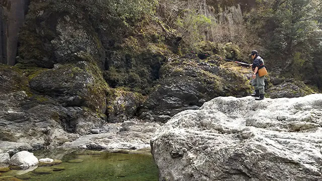 伝心伝承 171 徳島県那賀川水系 ～明媚な渓に春を感じて～