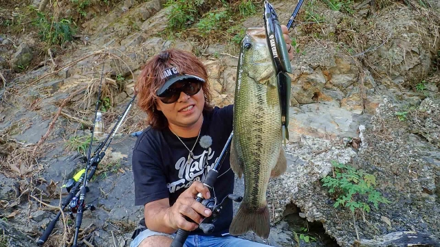 infection with s‐15