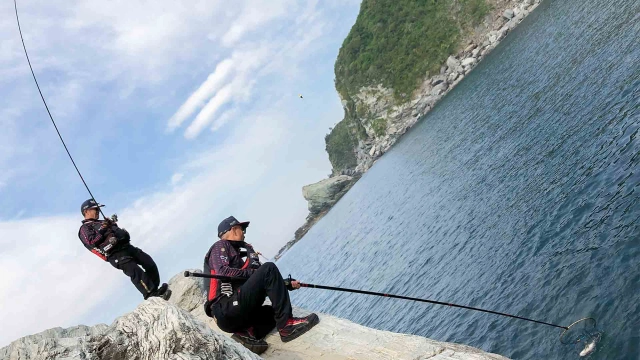 伝心伝承 197 兵庫県沼島～淡路の海に銀鱗踊る～