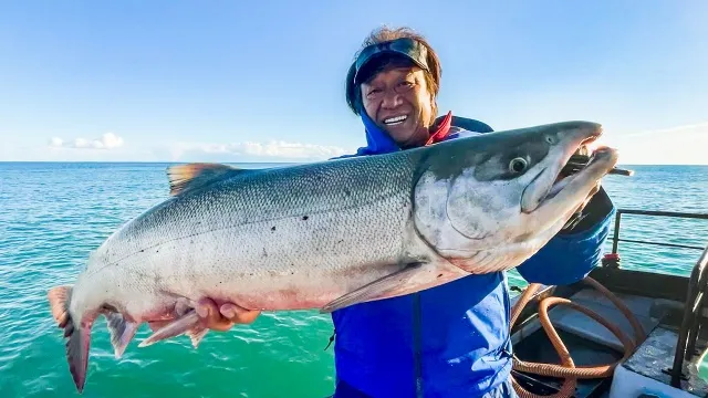 魚種格闘技戦！ BATTLE-247 故郷の川に帰って来たよ！オホーツク海でサーモン祭