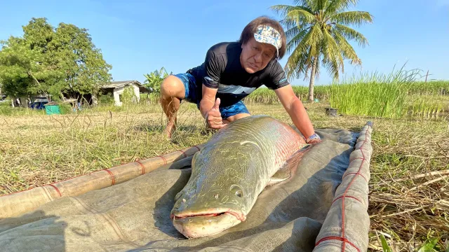 魚種格闘技戦！ BATTLE-250 第1幕 魅惑のタイランド・極愕！フィッシングポンドバトル