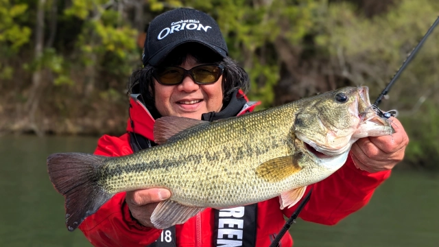 BIG BITE