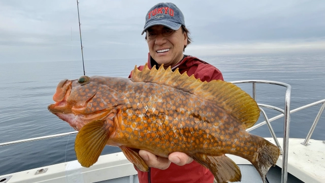 魚種格闘技戦！