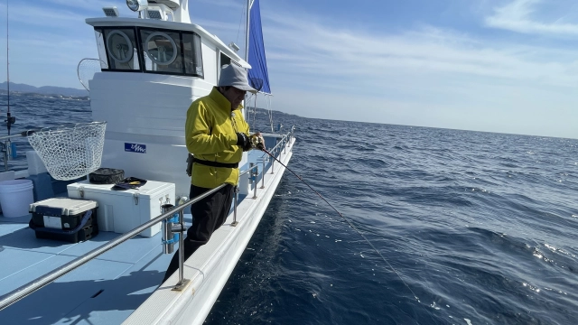 魚種格闘技戦！