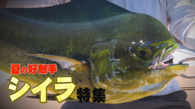 ハイパーエキスパート