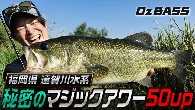 Dz BASS