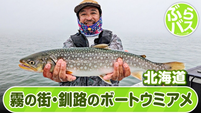 ぶらりバスの旅