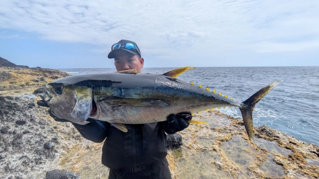 Fish Fury