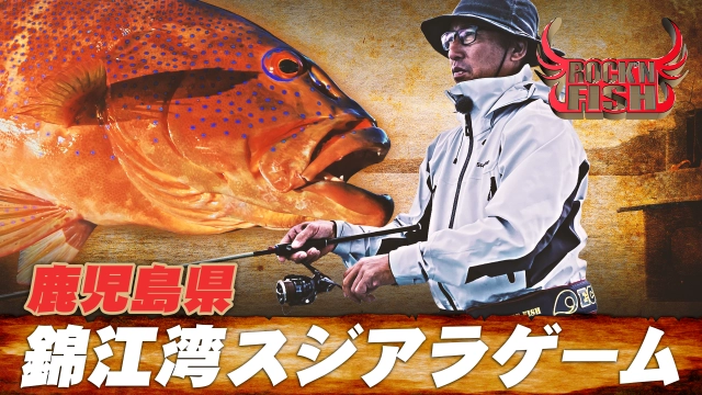Rock'n Fish