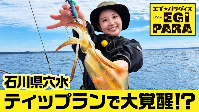 とことんエギパラダイス