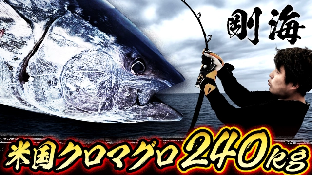 剛海