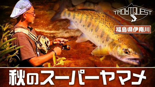 TROUT QUEST 36