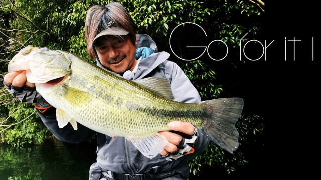 Go for it！
