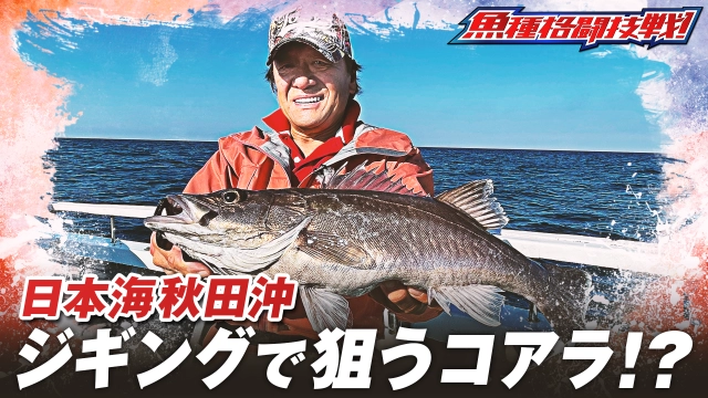 魚種格闘技戦！