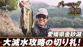 バーニング帝国 第七十九作戦 大減水の金砂湖 こうなったら助っ人投入や！