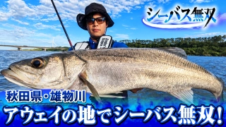 シーバス無双 15 秋田県雄物川 山本高彰
