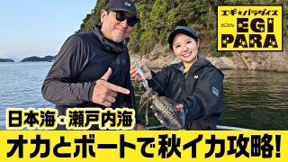 とことんエギパラダイス 176 日本海・瀬戸内海の旅 カリスマと目指せ爆釣！？