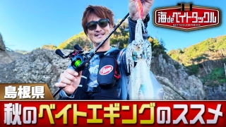 海 de ベイトタックル 7 島根県のベイトエギング