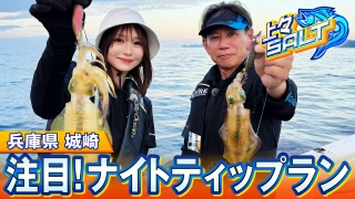 上々SALT 12 兵庫県城崎 注目のナイトティップラン