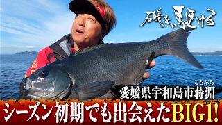 磯を駆ける 第百十三章 愛媛県 蒋淵の旅