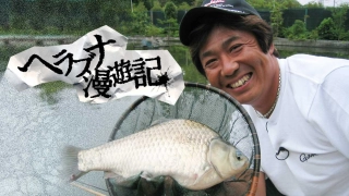 ヘラブナ漫遊記 其の三十一 新ベラを狙え！