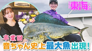 こちら東海です。DX 34 卒業