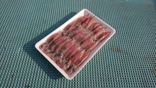 沖釣りギャラリー