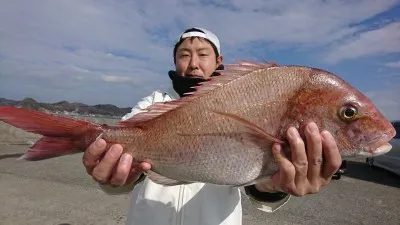 共栄丸の2019年1月20日(日)1枚目の写真