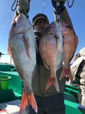 日正丸の2019年2月2日(土)3枚目の写真