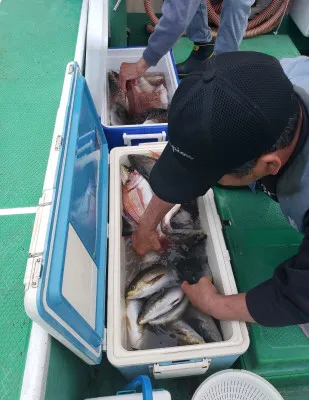 つちそう丸の2019年6月12日(水)3枚目の写真