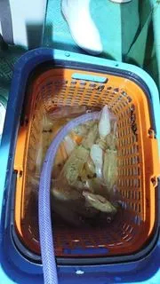 清家渡船の2019年8月7日(水)4枚目の写真