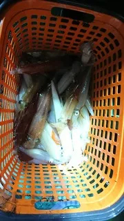 清家渡船の2019年8月7日(水)5枚目の写真