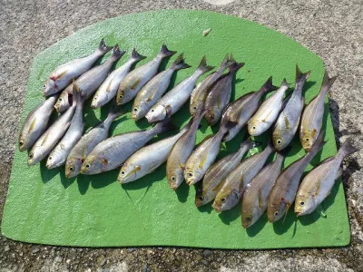 かみや荘の2019年8月21日(水)5枚目の写真