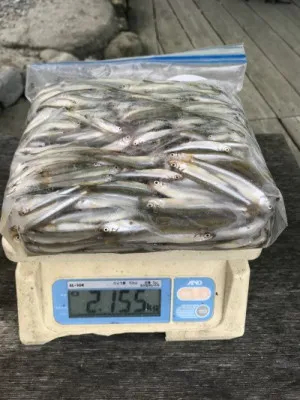 木崎湖モダンボートの2019年9月1日(日)1枚目の写真