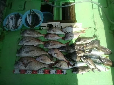 一幸丸の2019年9月14日(土)1枚目の写真
