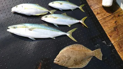 わくわく丸の2019年9月14日(土)2枚目の写真