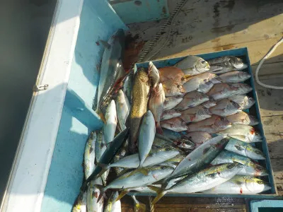 釣船 英造丸の2019年10月30日(水)1枚目の写真