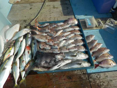 釣船 英造丸の2019年11月1日(金)1枚目の写真